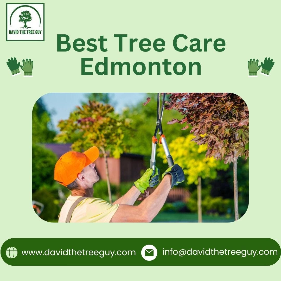 Best Tree Care Edmonton David The Tree Guy Medium