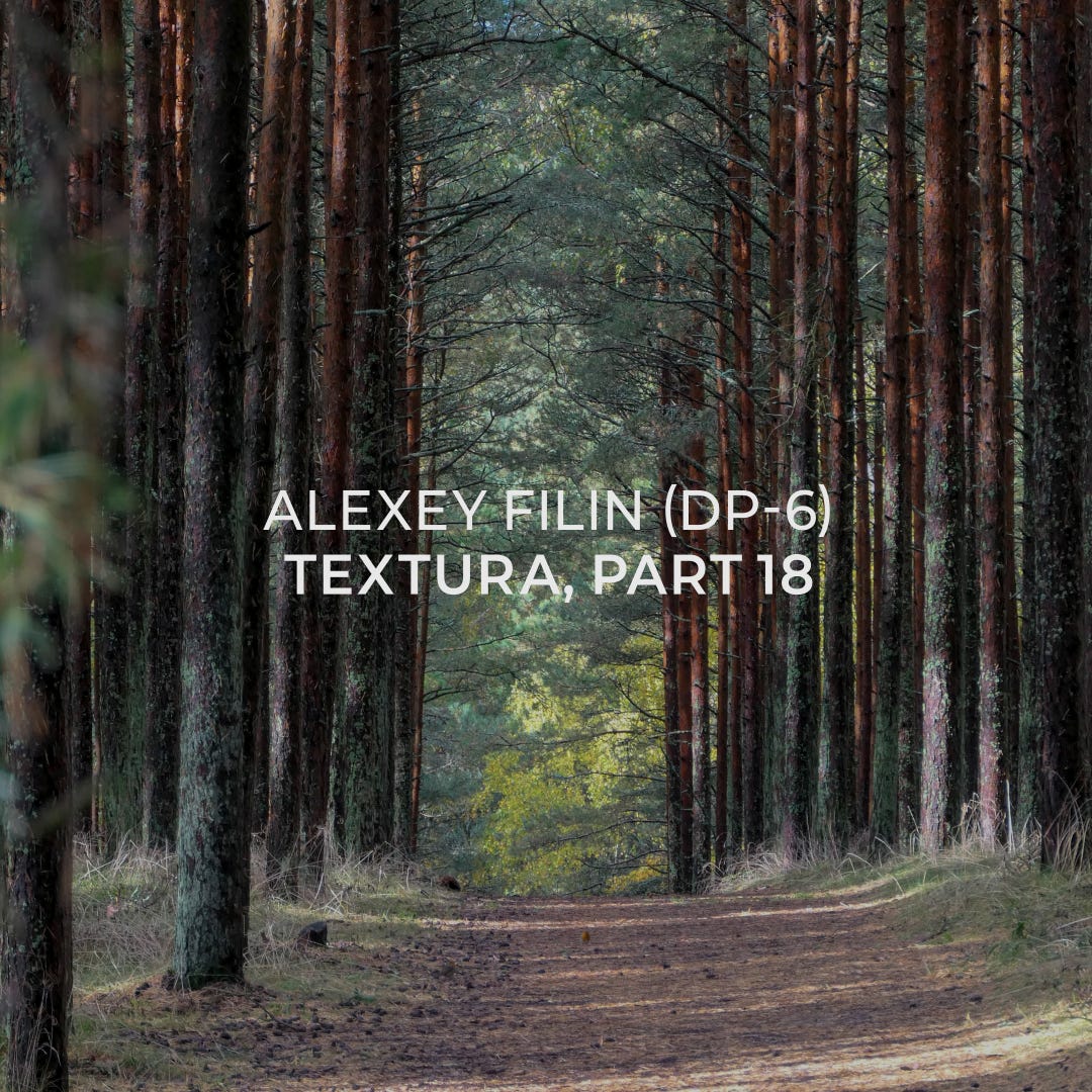 Alexey Filin (DP-6) — Textura, part 18