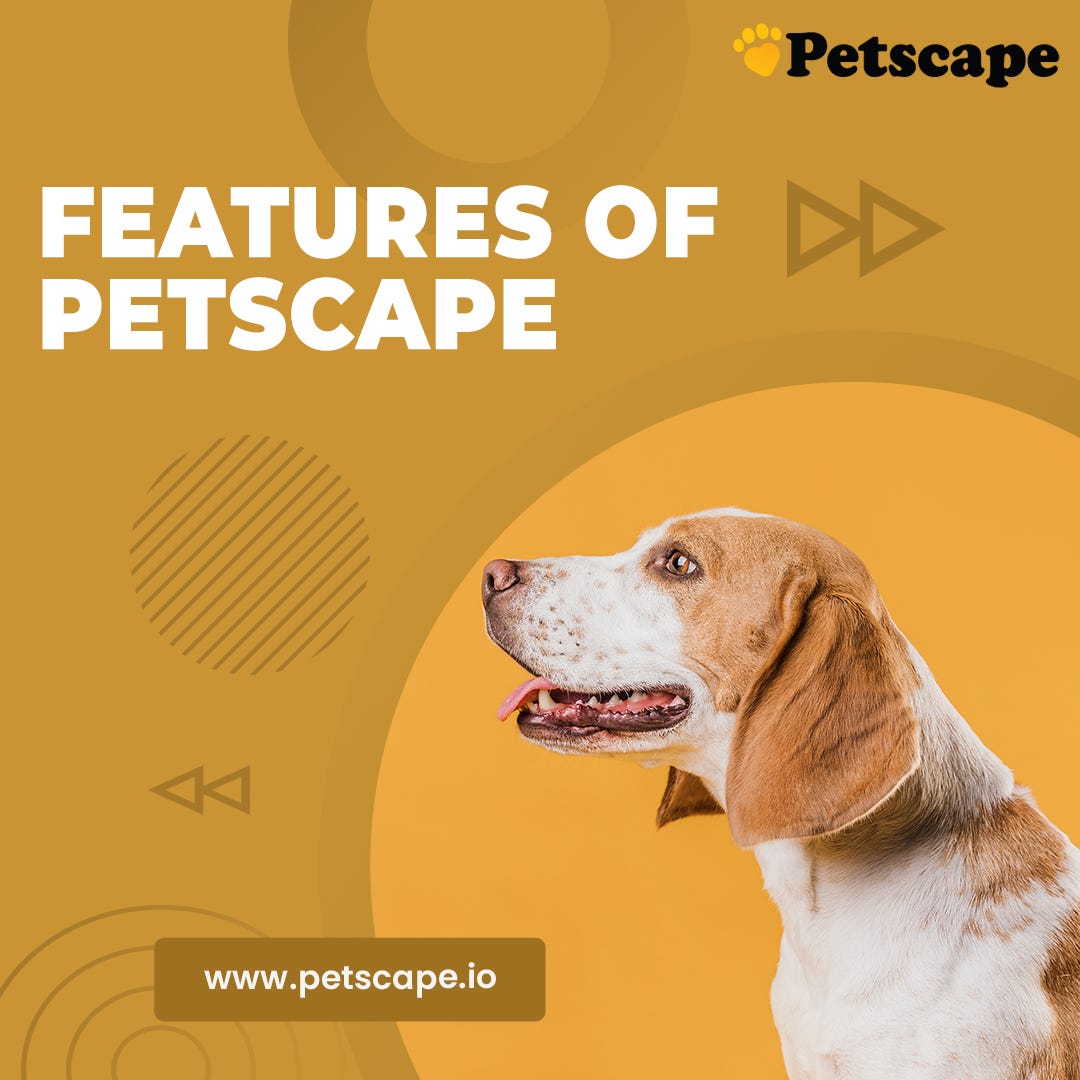 🐶 Features Of PetScape 🐶 Petscape Medium