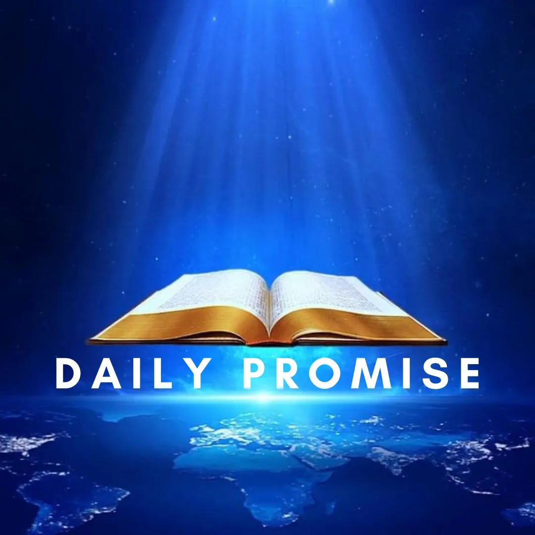 Daily Promise Day 209 Don t Worry I Will Take Care Of You By 