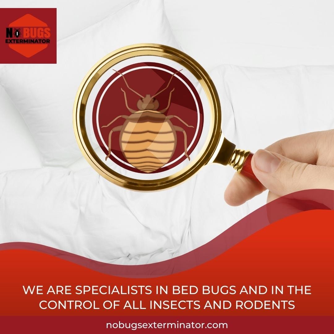 Media, PA No Bugs Exterminator. No Bugs Exterminator is the ultimate