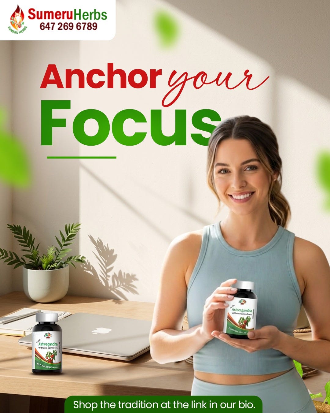 Benefits of Giloy Herb: A Natural Boost for Everyday Wellness