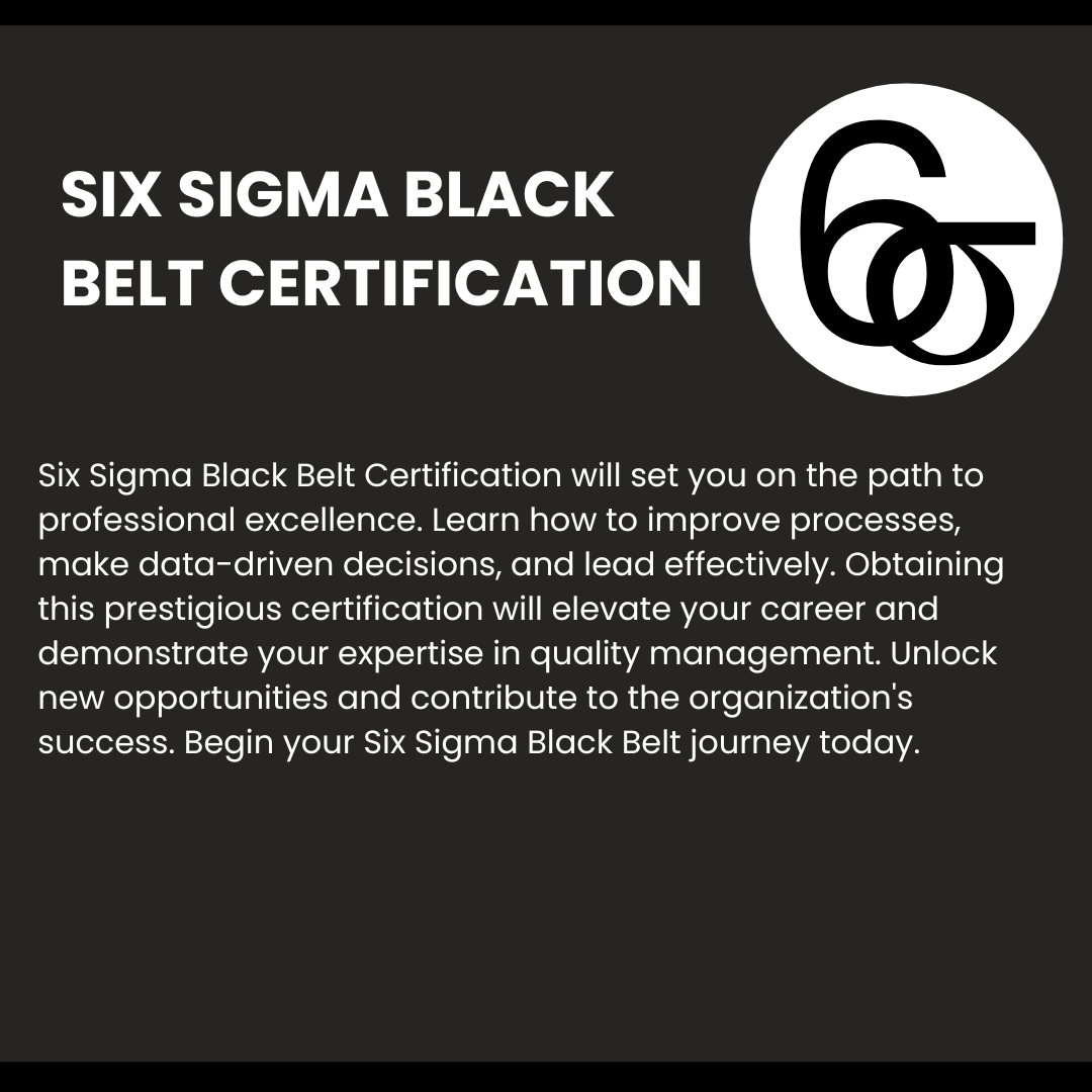 Certified Six Sigma Black Belt Primer A Comprehensive Guide on How to Get Six Sigma Black Belt Certified