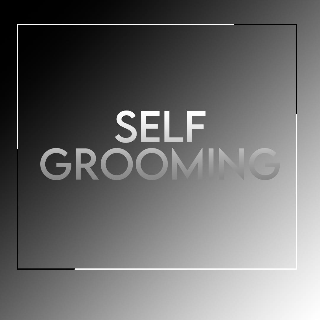 The Importance of SelfGrooming Tips for Maintaining Good Personal