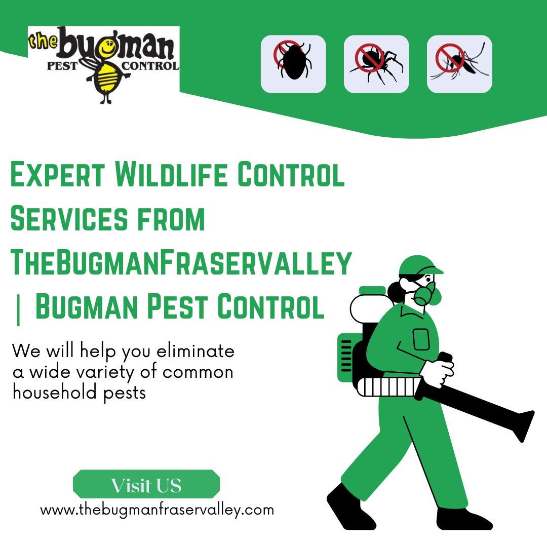 Expert Wildlife Control Services from TheBugmanFraservalley | Bugman Pest Control