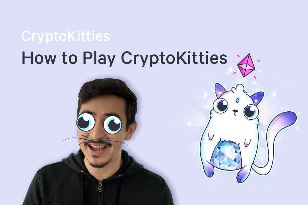 A stepbystep video guide to buying your first CryptoKitty by