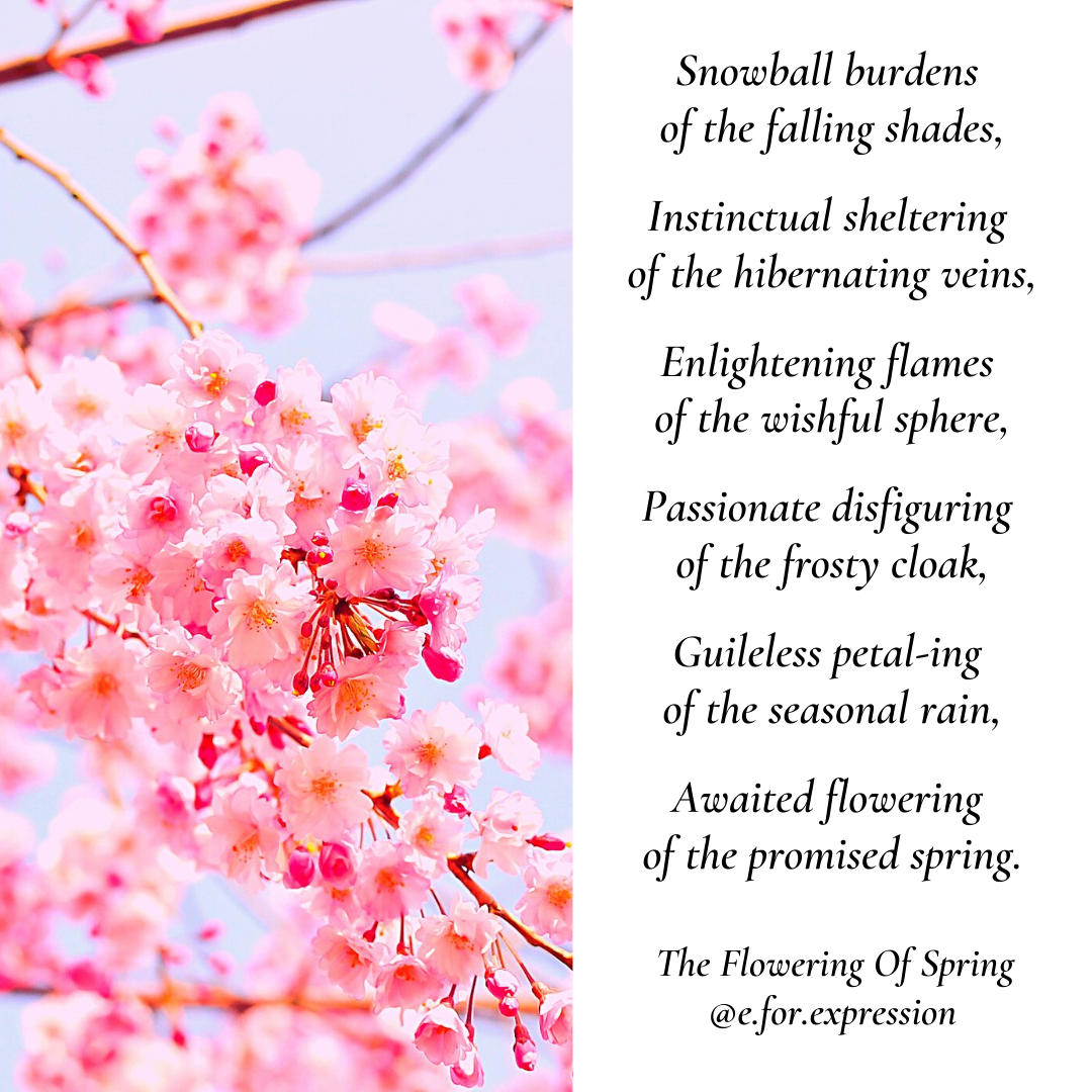 Poetry: The Flowering Of Spring - Story in Poetry - Medium