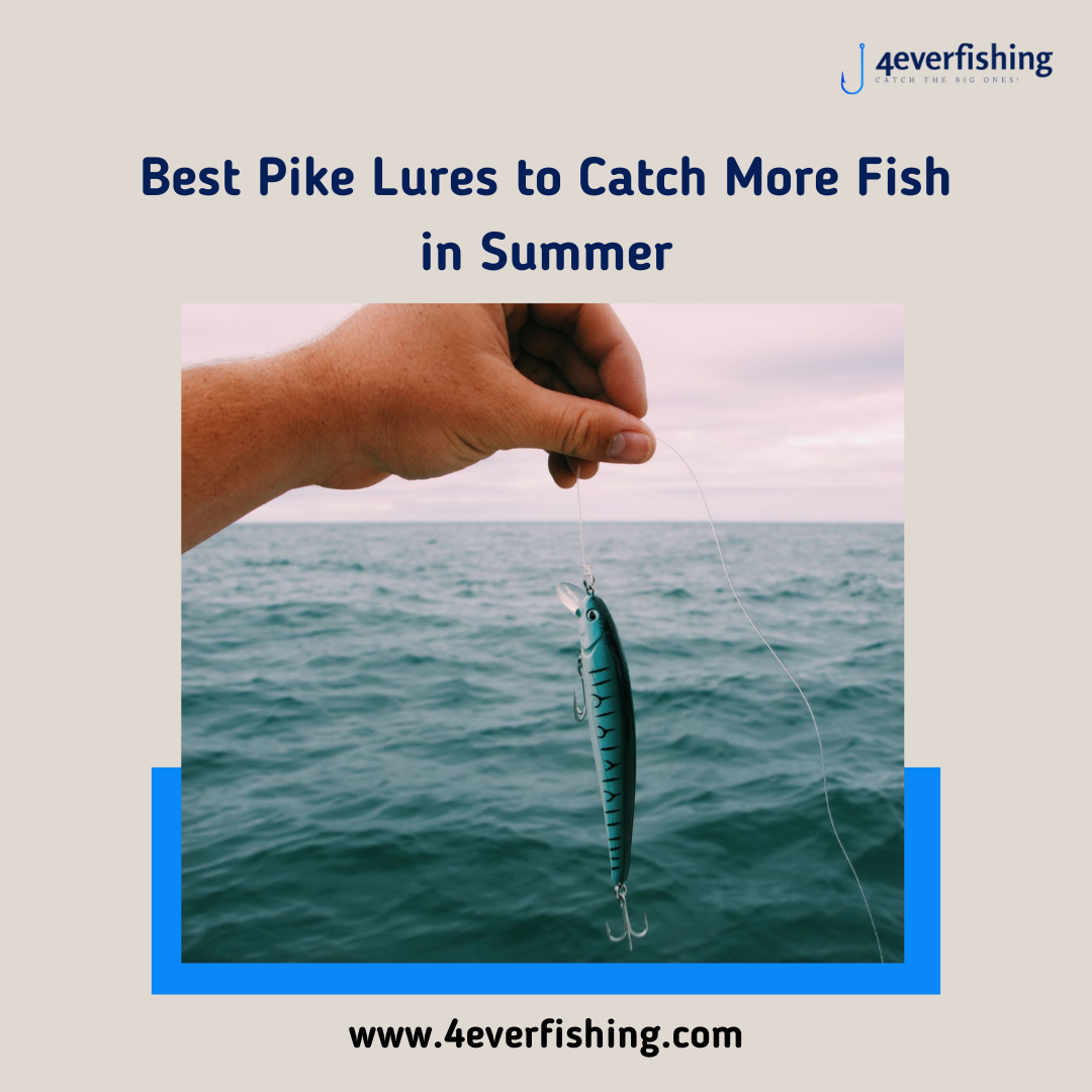 Pike fishing tips and techniques to catch more fish