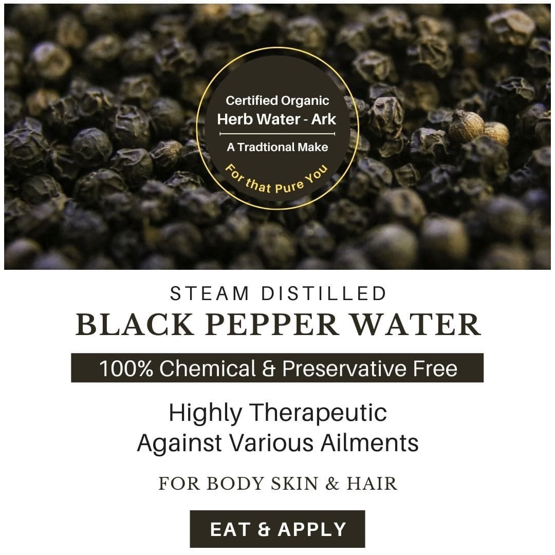 Black pepper uses and benefits black pepper herb water /hydrosol