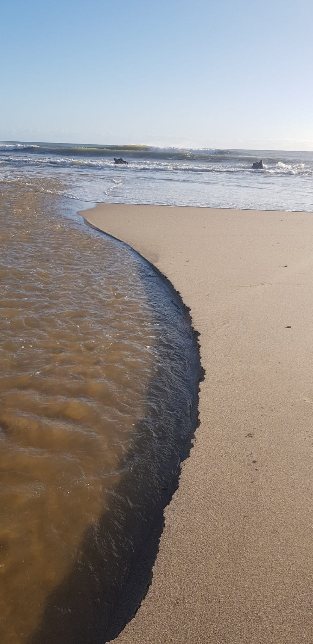 Yarranoo River meets Indian Ocean © Lady Donga Diaries 2024
