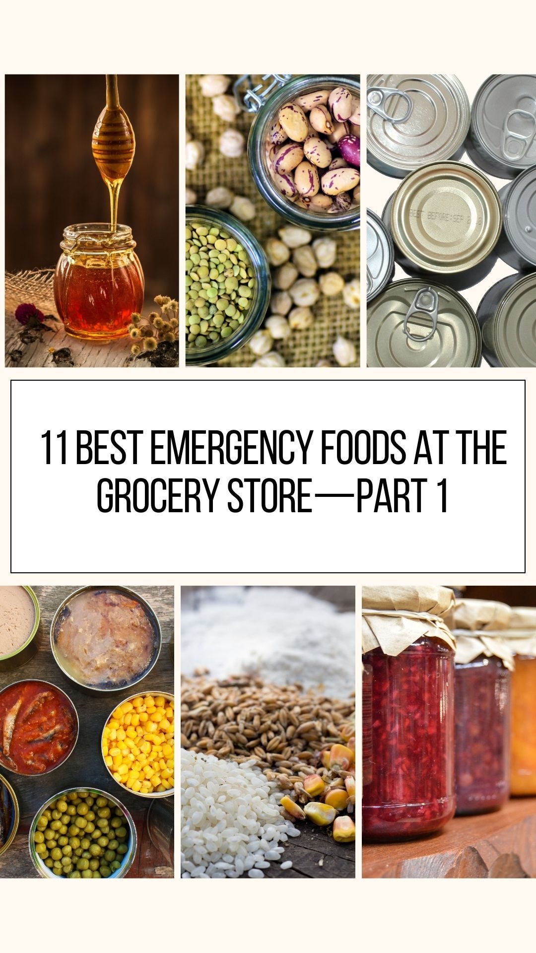 11 Best Emergency Foods at the Grocery Store — Part 1 by Survive