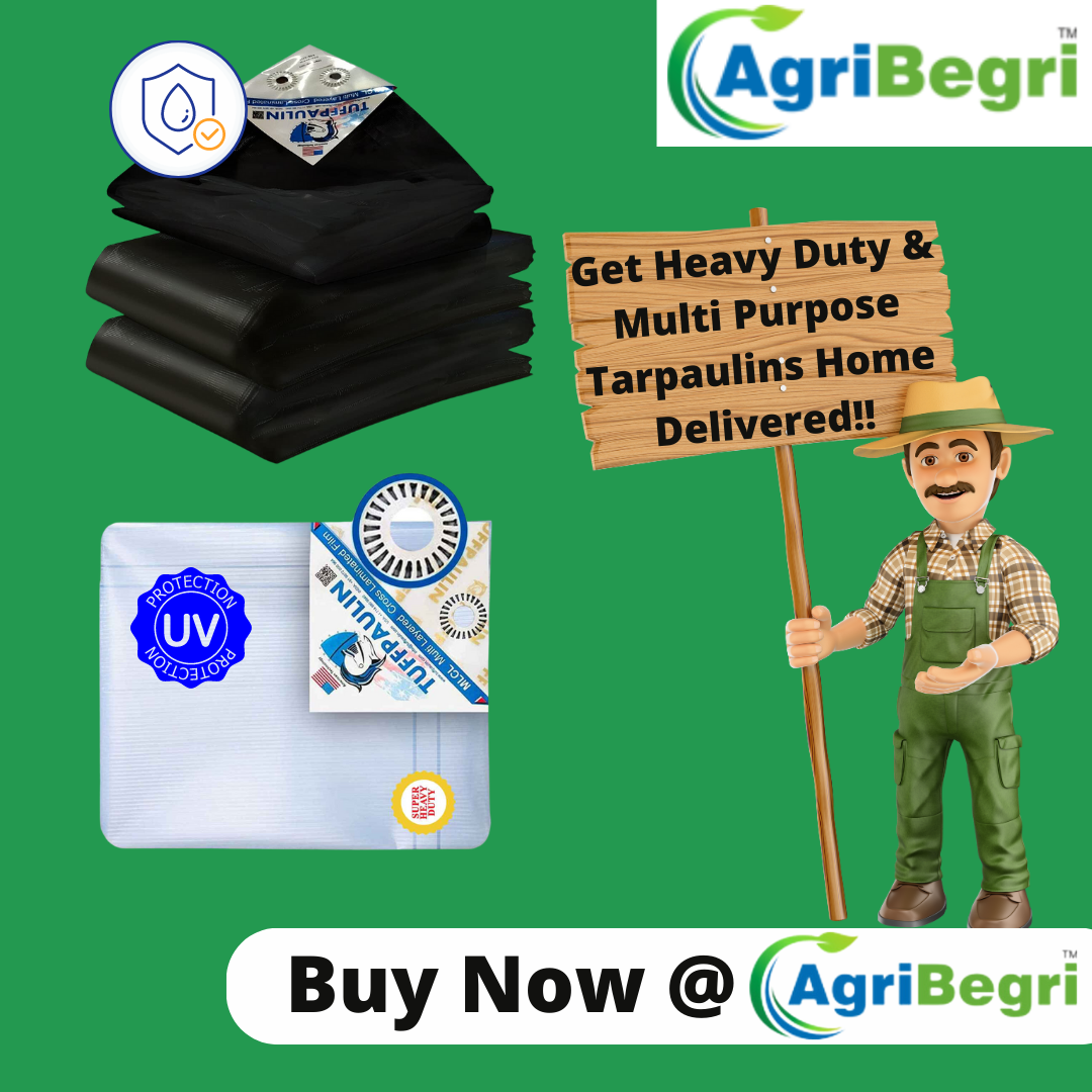 Protect Your Goods with Durable Tarpaulin Covers — Buy Online Now
