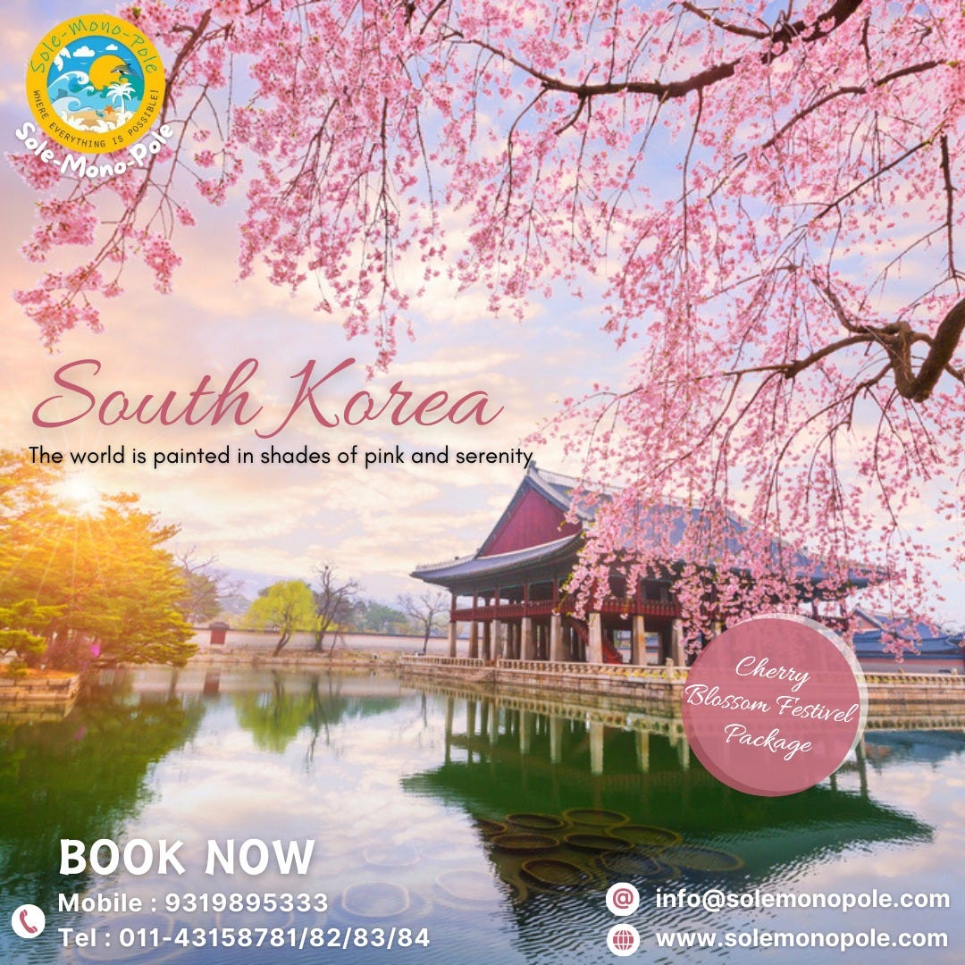 Cherry blossoms festivals in South Korea by Sole Mono Pole Private
