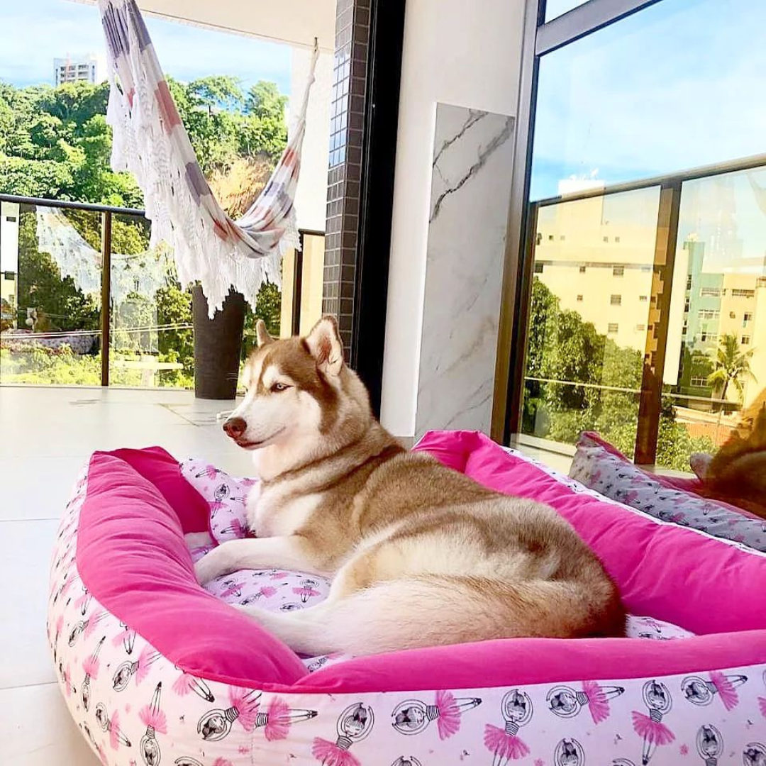 📸 Foto real enviada por cliente Gaia: Produto tamanho gigante em uso por um Husky.