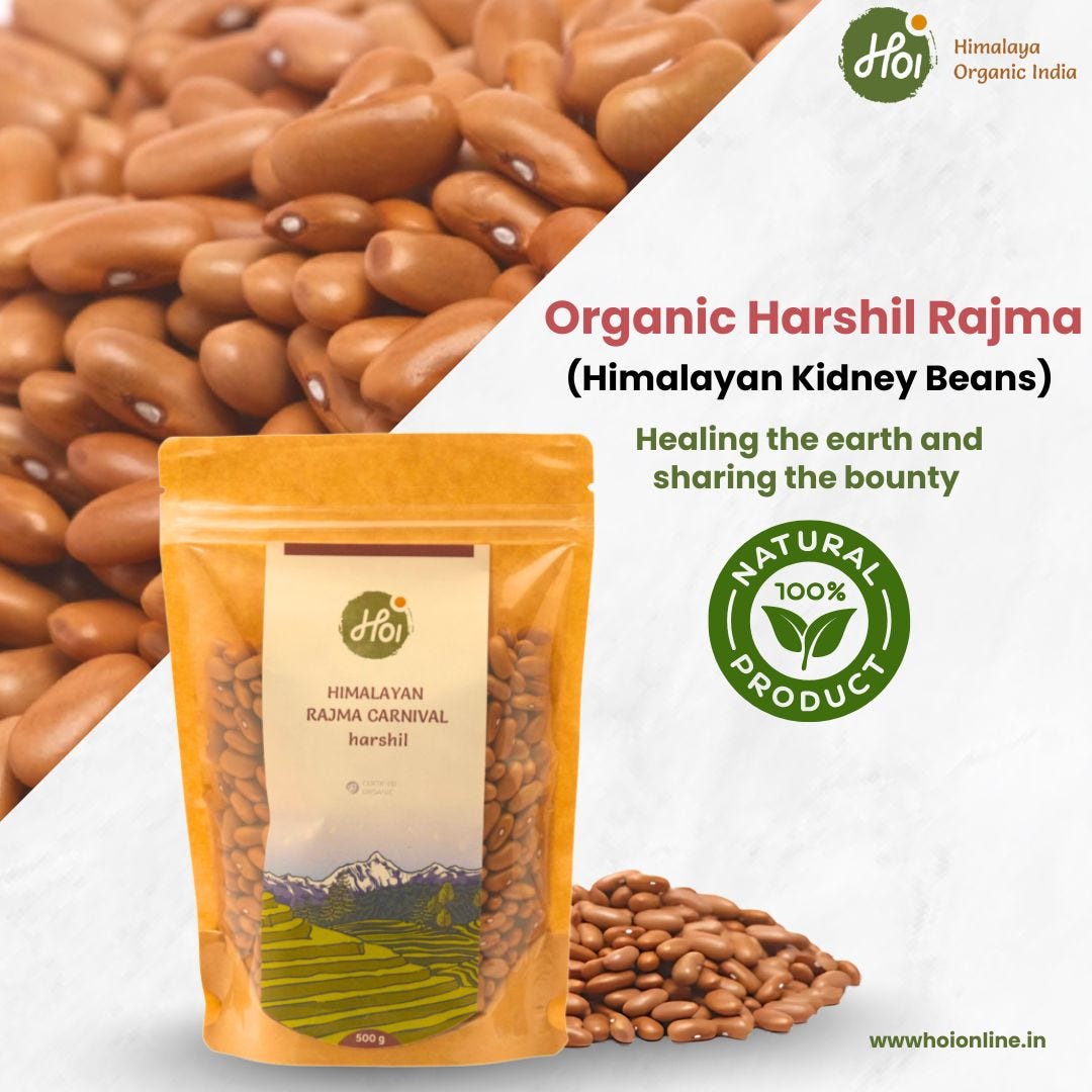 OBuy 100% Organic Harshil Rajma (Himalayan Kidney Beans)