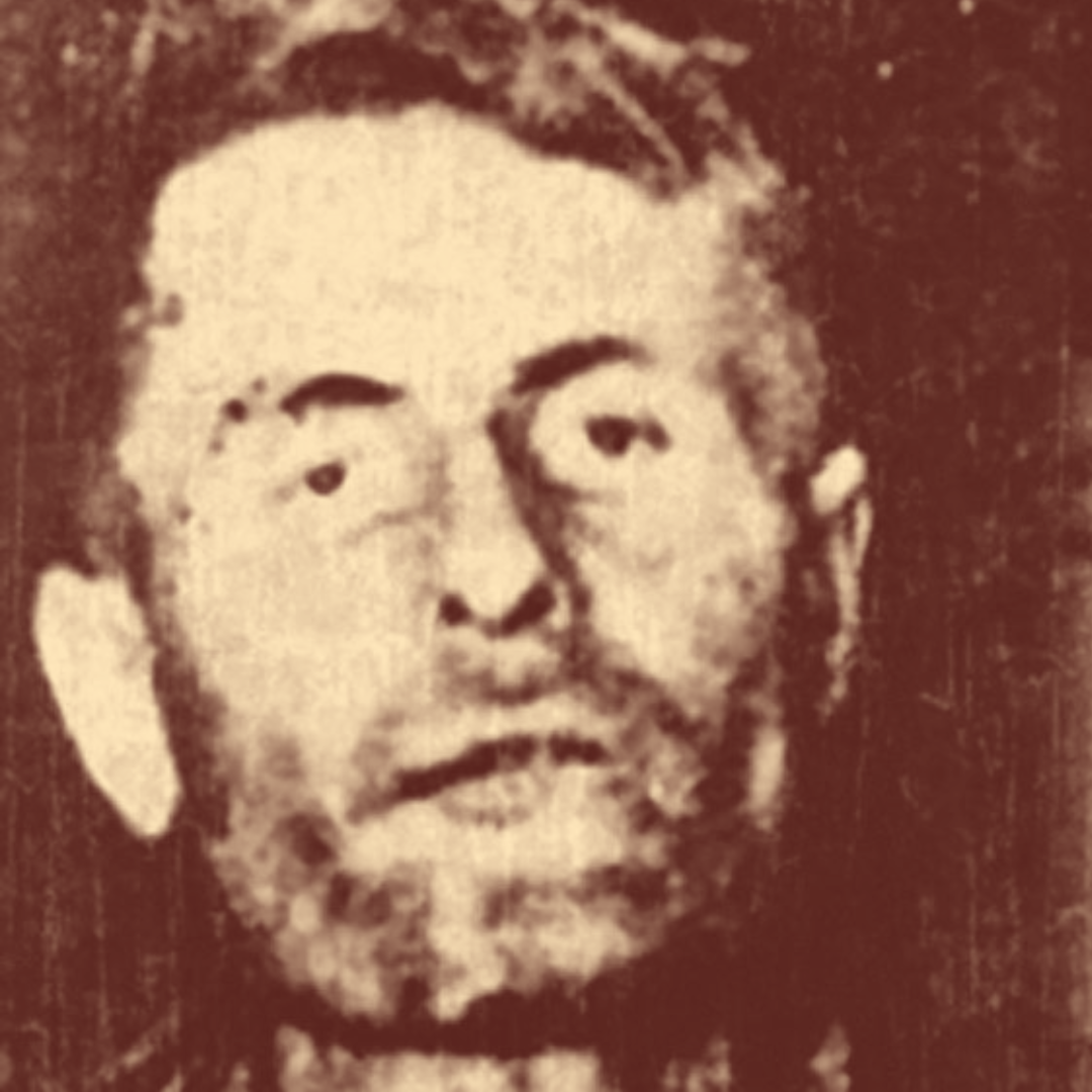 Элмер маккерди. Элмер маккерди в парке развлечений. Элмер маккерди. Элмер маккерди. Элмер маккерди.