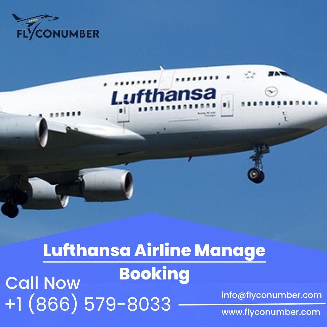 Lufthansa Airlines Manage Booking Number Jordan Silk Medium