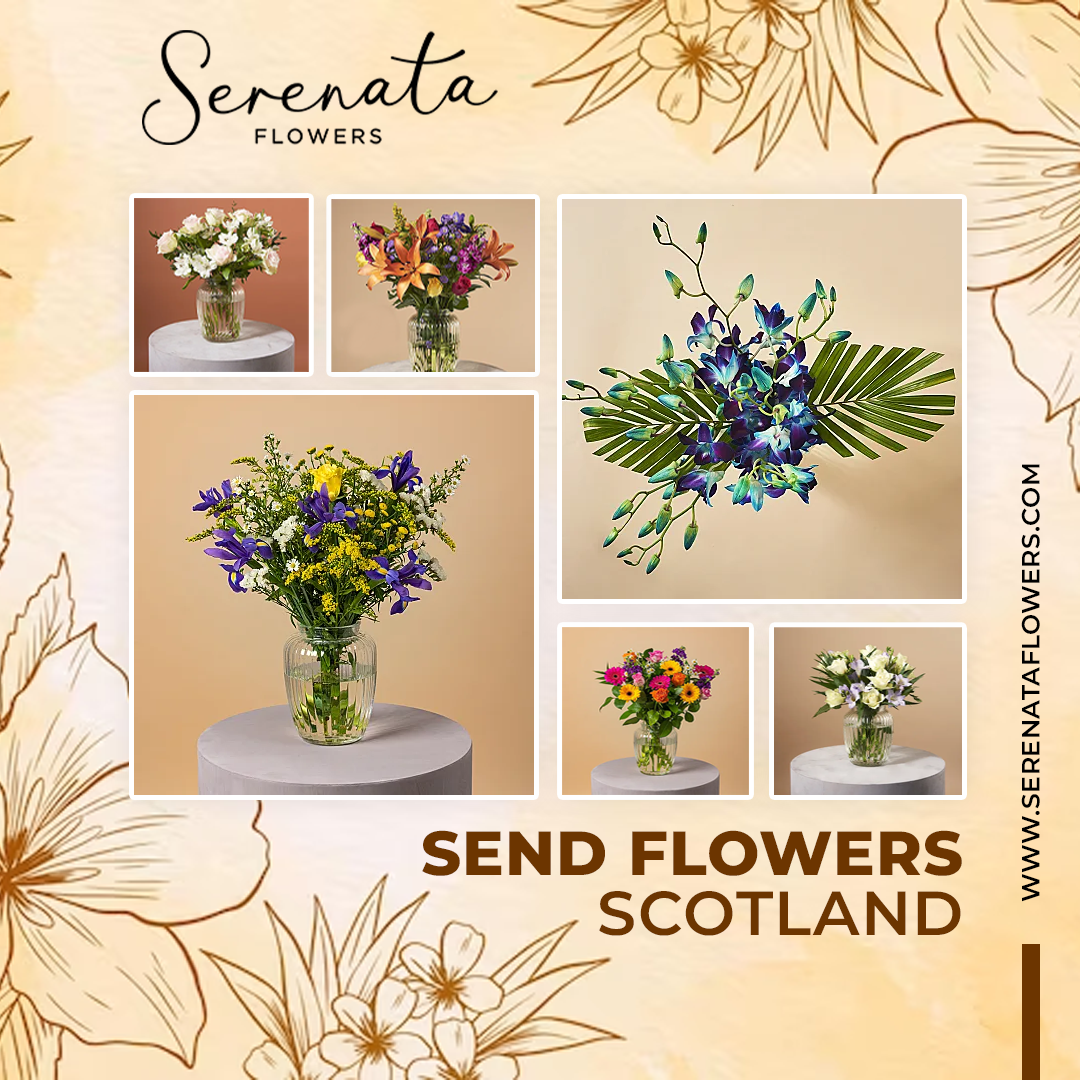 Do You Want to Send Flowers to Scotland? Visit the Site of Serenata