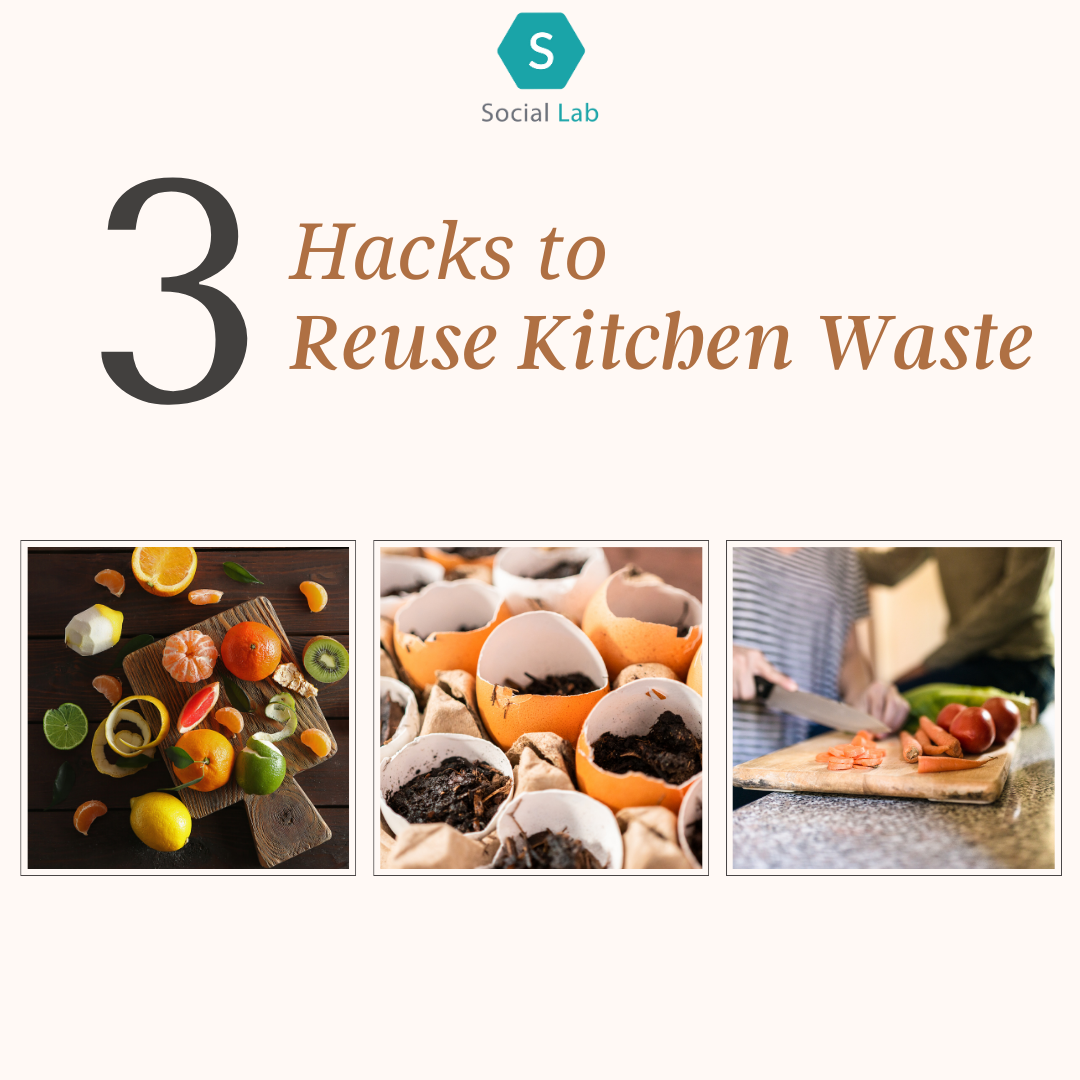 3 Hacks to Reuse Kitchen Waste. What is the ratio of your… by Social