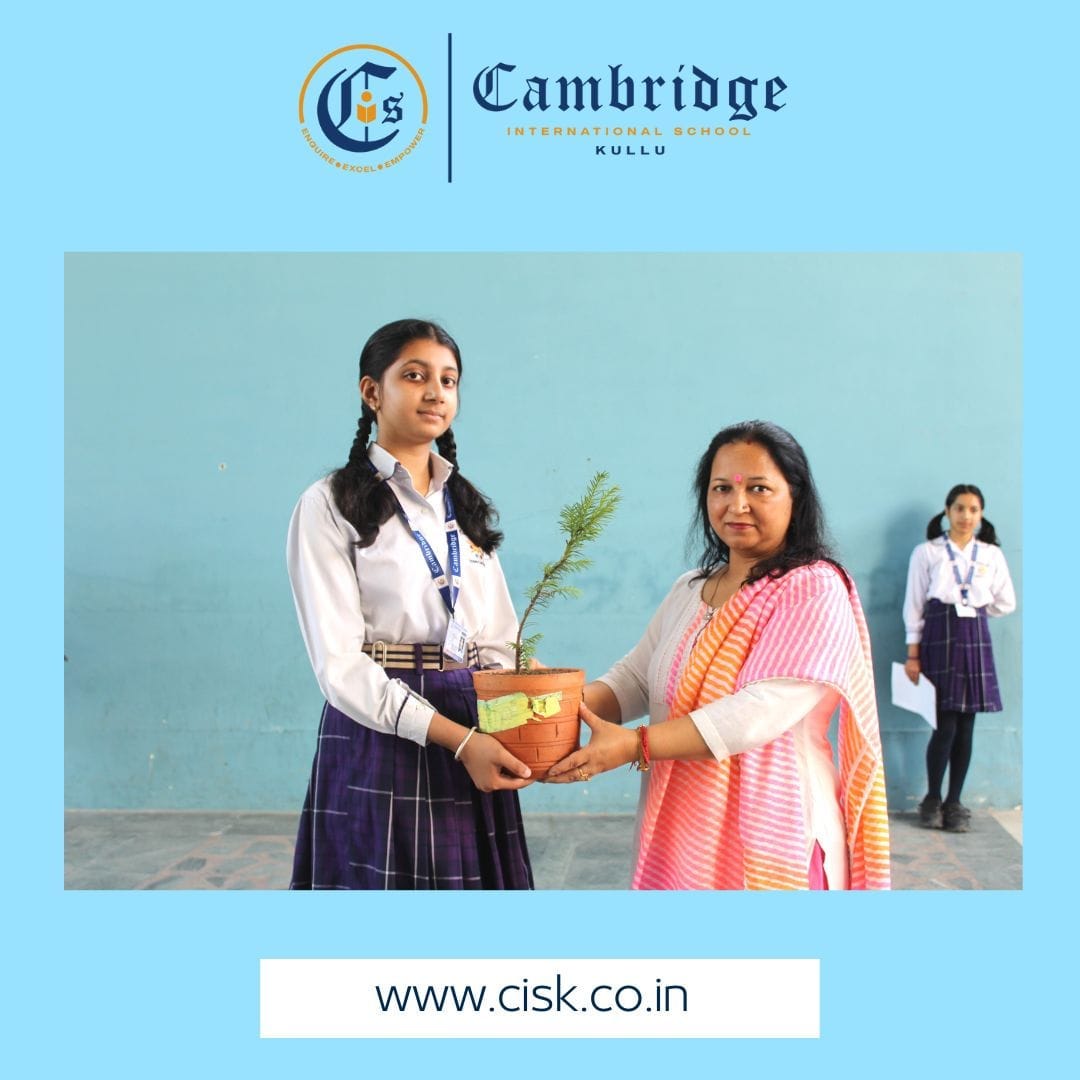 Best Cbse Schools Near Me Cambridge International School By