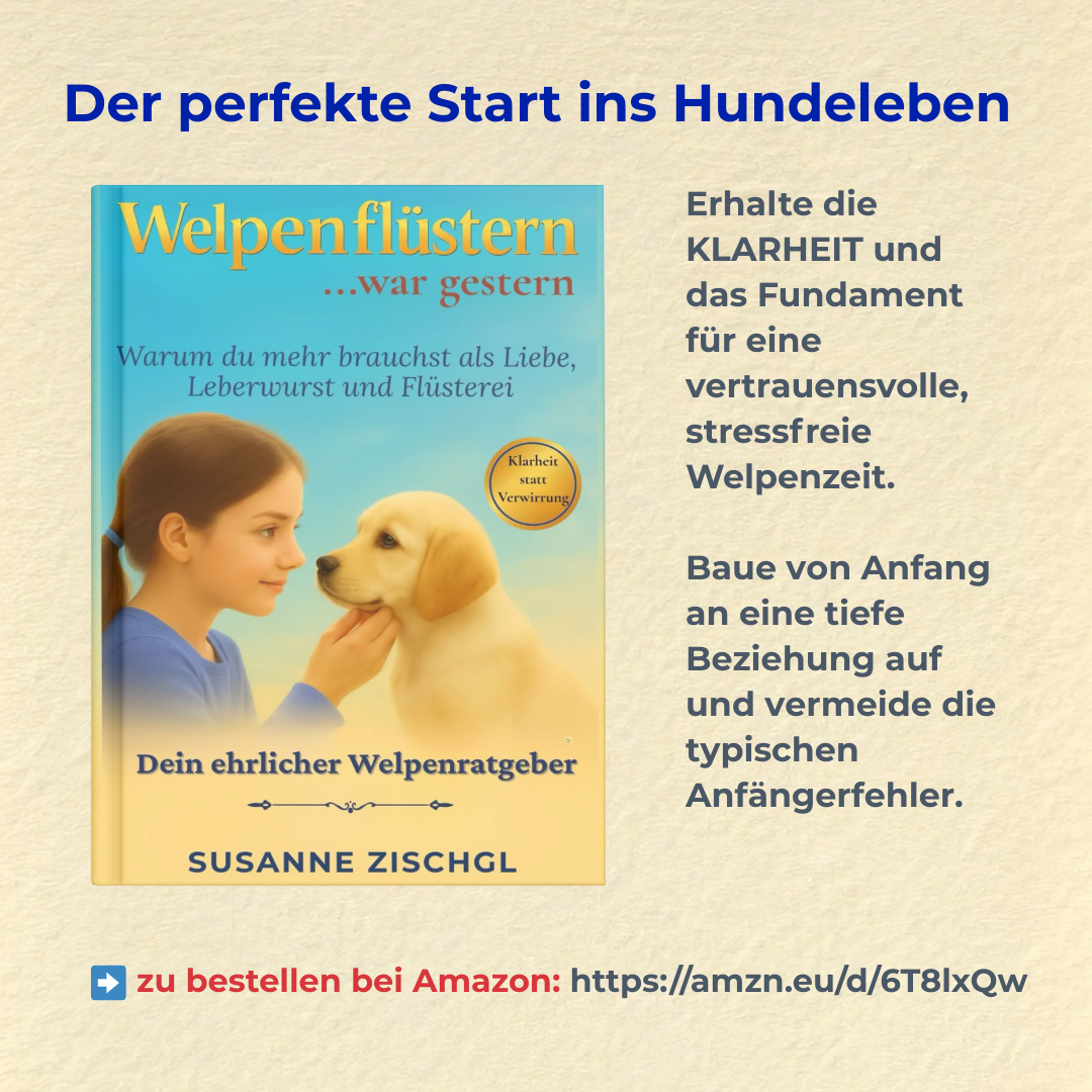 „Welpenflüstern war gestern — Warum dein Welpe keine Leckerlis braucht, sondern dich“