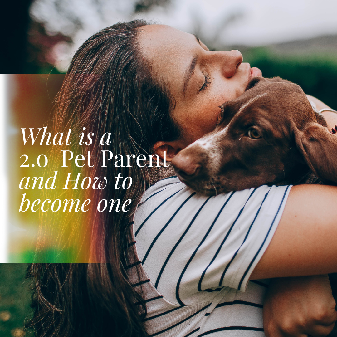 What is a 2.0 Pet Parent and How to One by Cyndi Smasal Medium