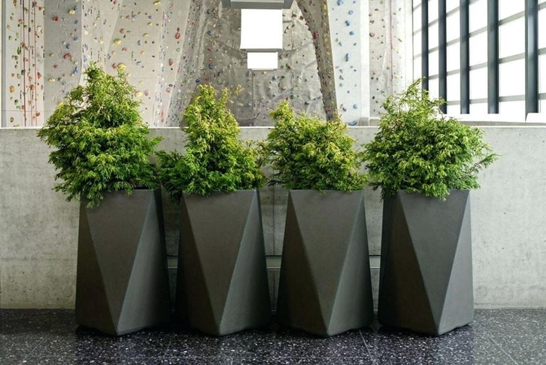 Modern meets natural in this assortment of planters, Porta Forma