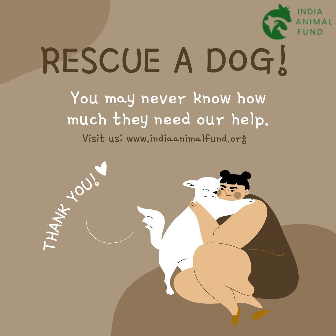 Grants for Animal Welfare Near Me Partnering with Wildlife SOS and