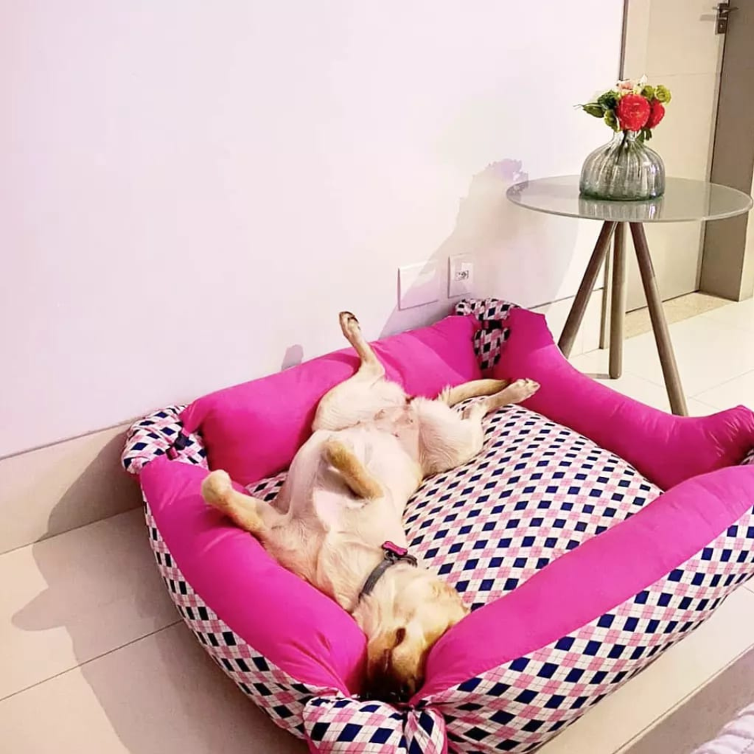 📸 Foto real enviada por cliente Gaia: Cão deitado de barriga pra cima, mostrando que a cama é puro aconchego.