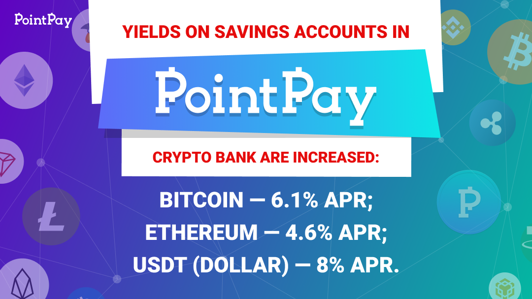 point pay crypto price