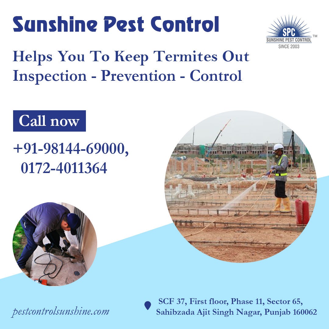 Best Service to Control Termites Sunshine Pest Control Sunshine Pest