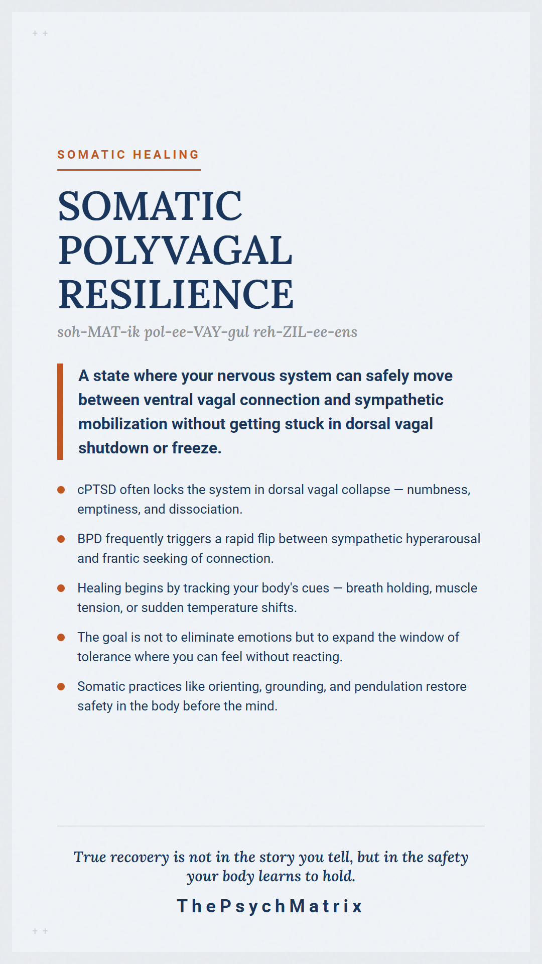 Beyond Diagnosis: A Somatic Polyvagal Guide to Healing cPTSD and BPD