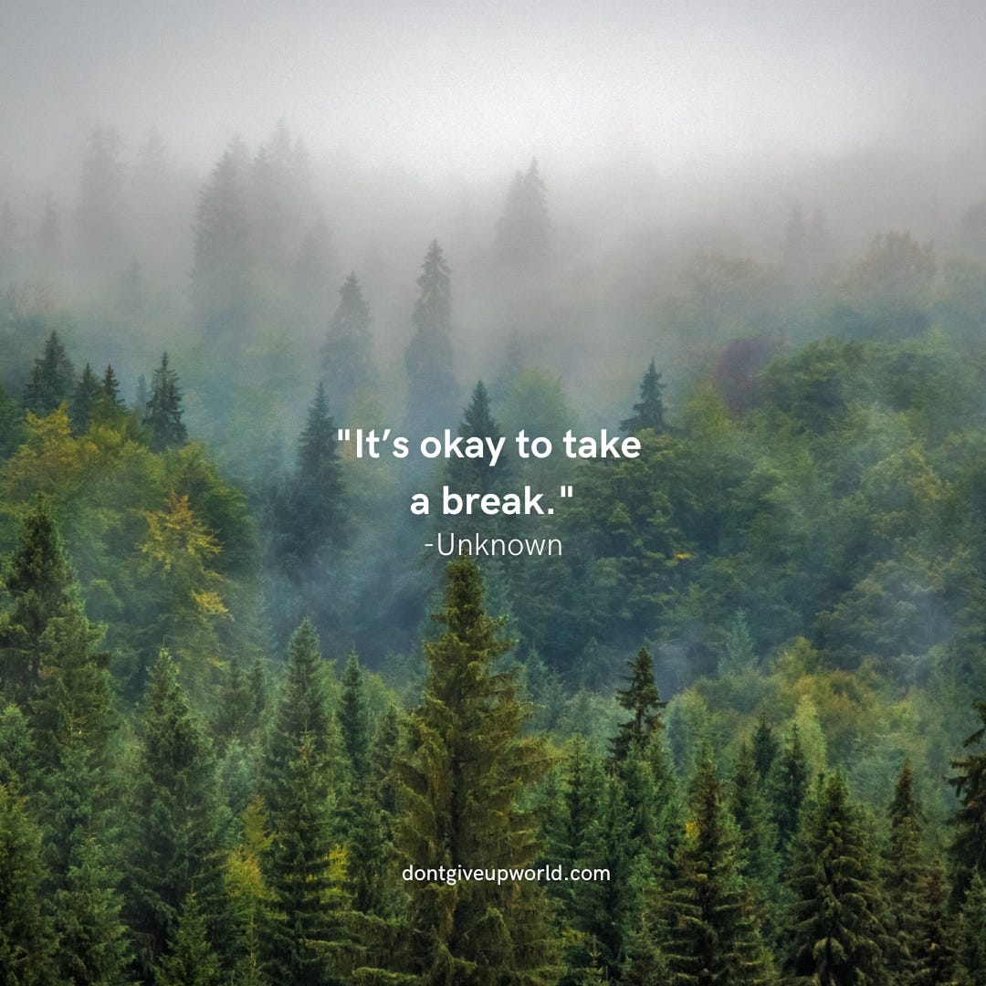 Sometimes its okay to take a break.