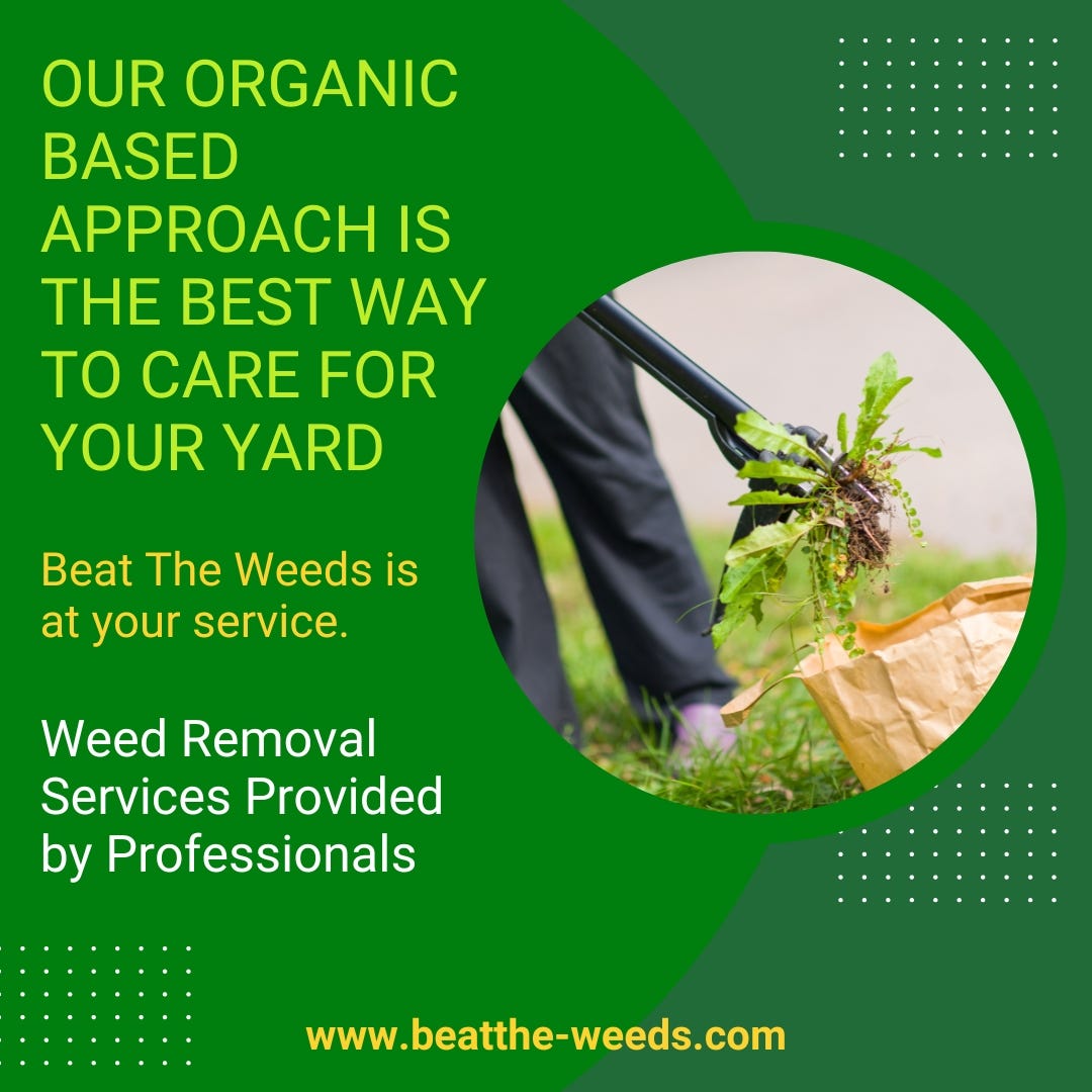 Lawn Treatment. Lawn Treatment — Nutrients For Healthy… by Beat The Weeds Organic Based Lawn