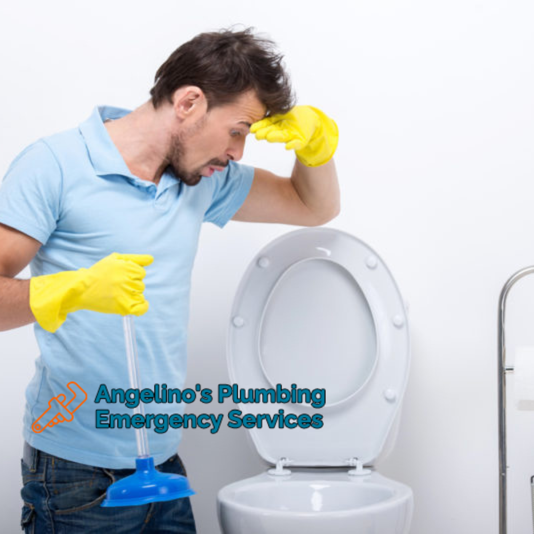 Common Causes of a Clogged Toilet by Angelino's Plumbing Emergency