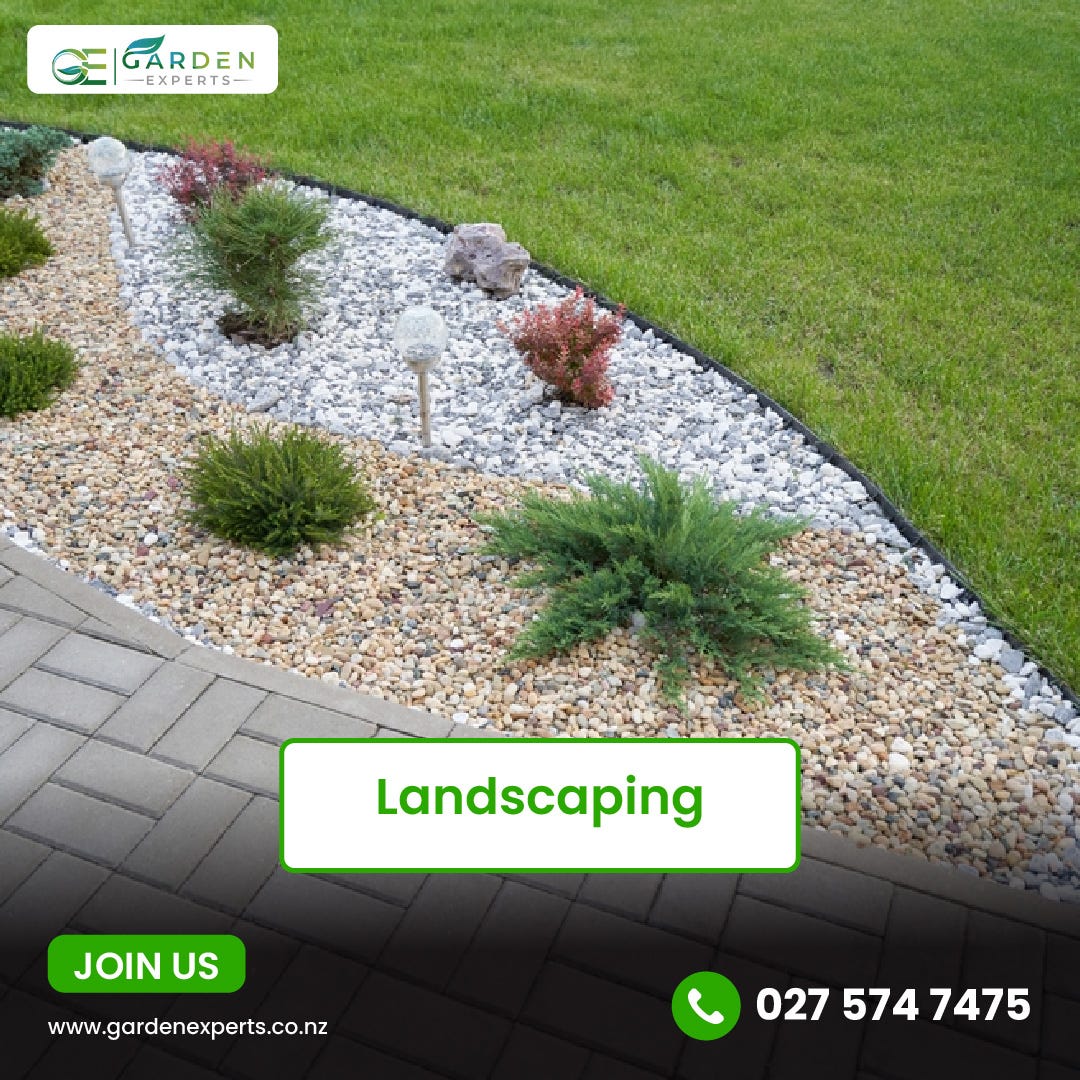 Professional Landscaping Services in Auckland for Stunning Outdoor Living Spaces