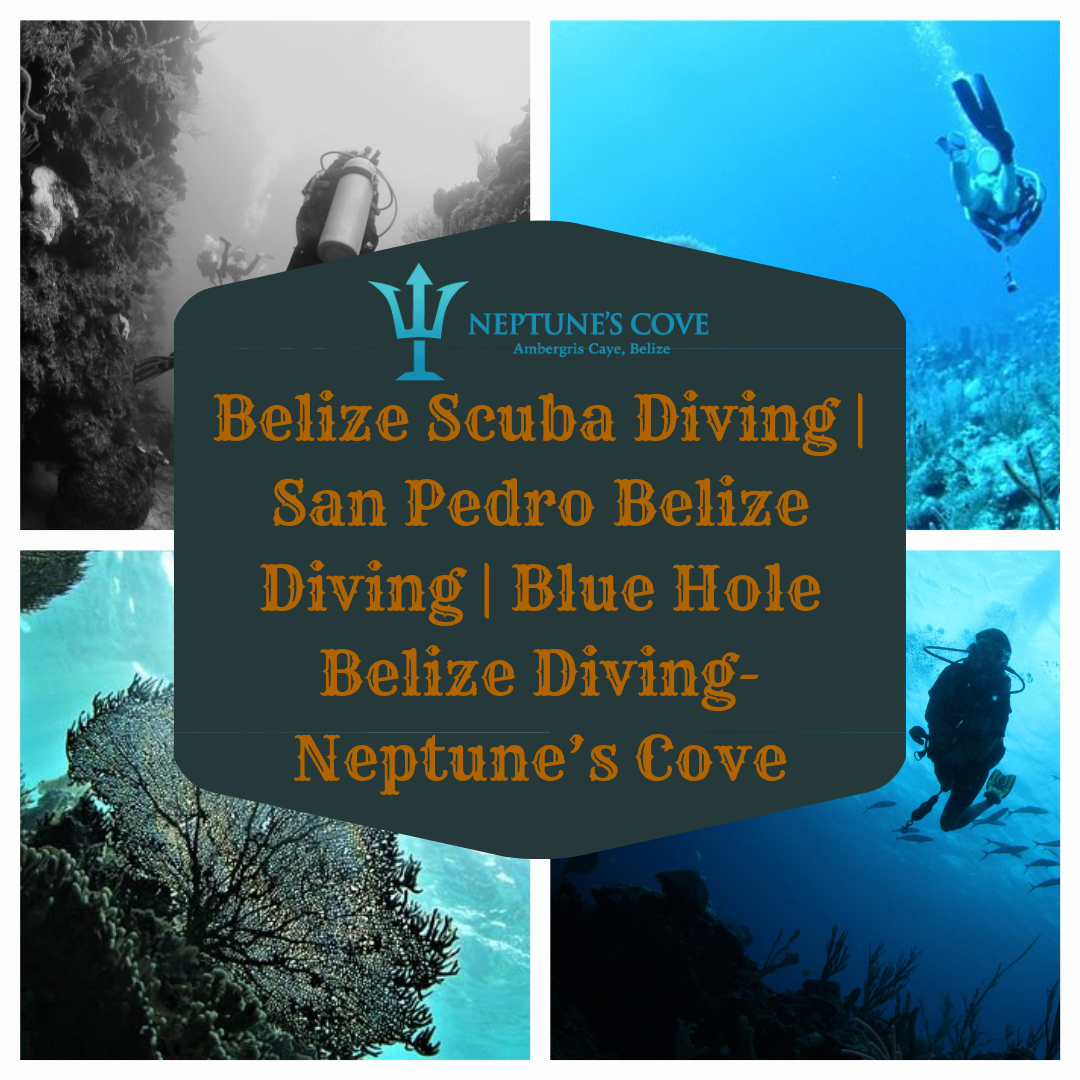 Belize Scuba Diving San Pedro Belize Diving Blue Hole Belize Diving