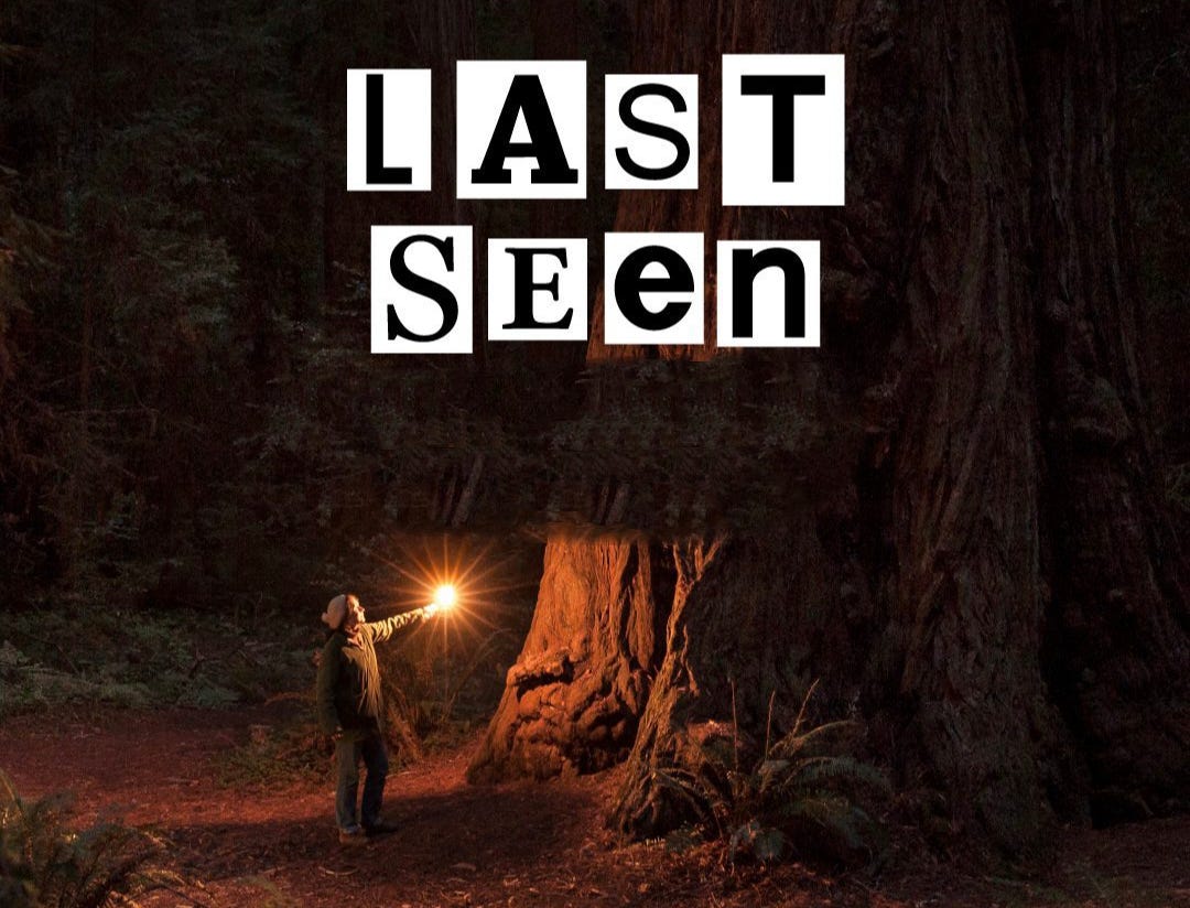 The Last Seen