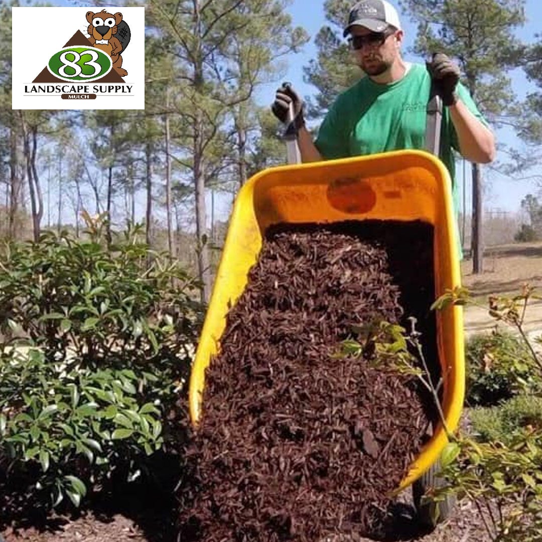 Unlock the Secret Benefits of Cedar Mulch and Transform Your Garden