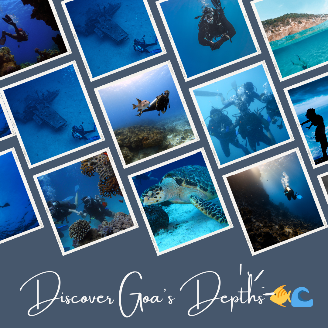 Scuba Diving in Goa: Bid Adieu to Tears and Dive into a World of
