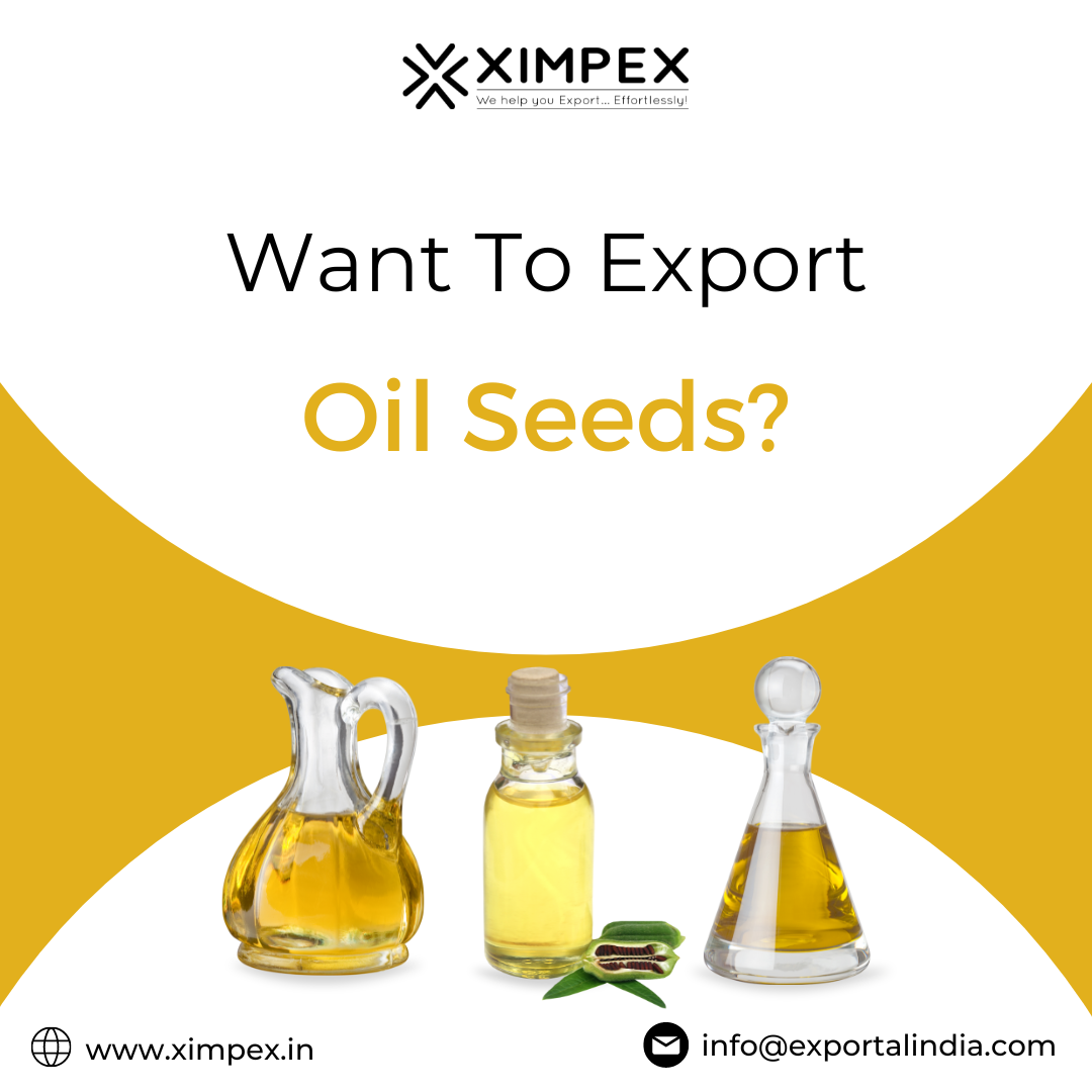 Want to Export Oil Seeds? - XIMPEX - Medium