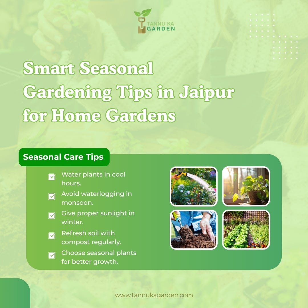 Smart Seasonal Gardening Tips in Jaipur for Home Gardens