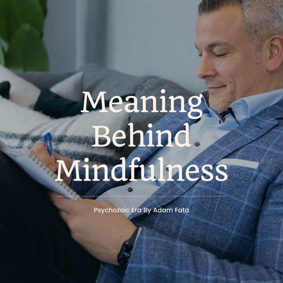 The Profound Meaning Behind Mindfulness. by Psychozoic Era Medium