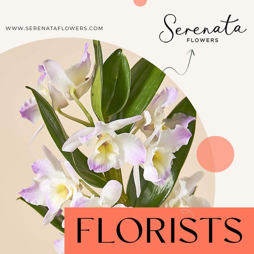 Serenata Flowers Your Top Choice among UK Florists for Beautiful