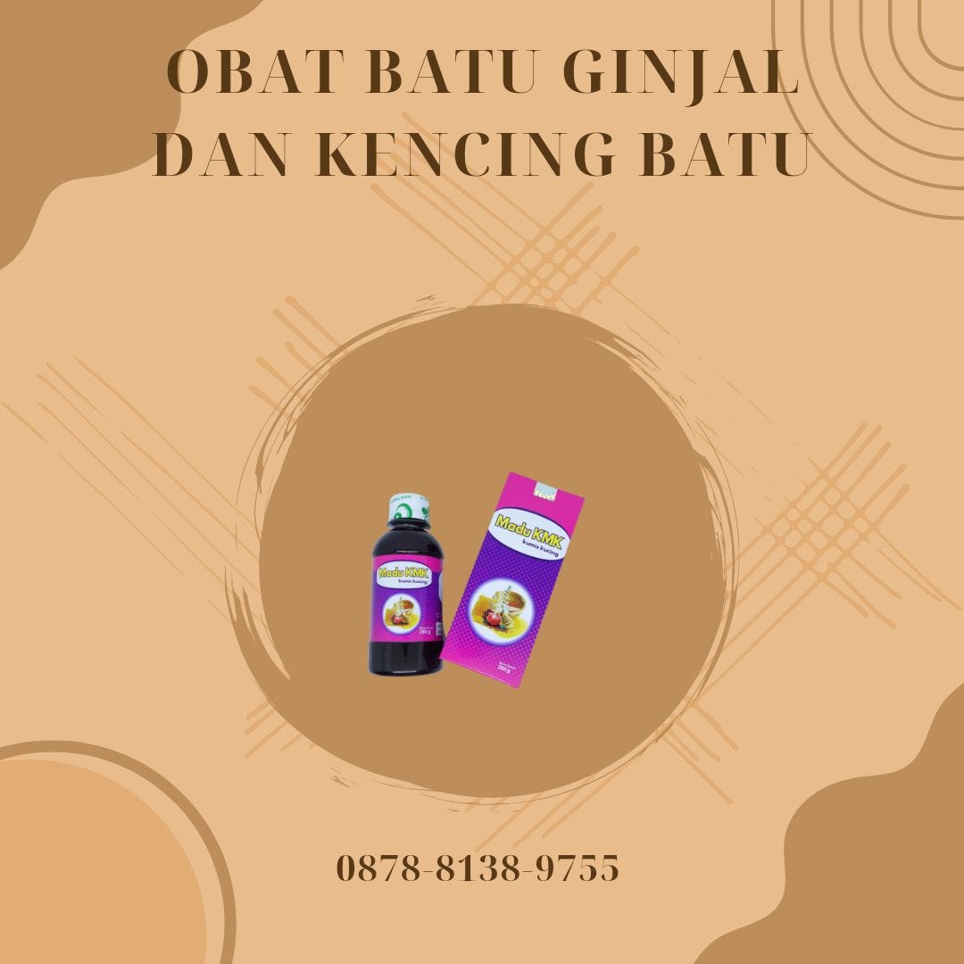 obat-batu-ginjal-dan-kencing-batu-ahlinya-hub-0878-8138-9755-by