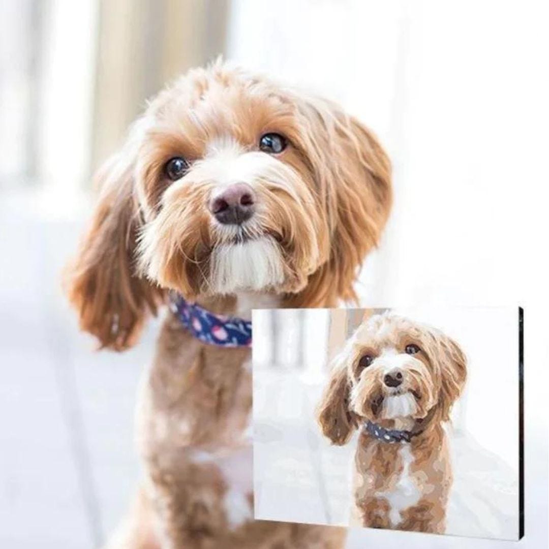 Best Custom Paint By Numbers Kits in Canada Paints with numbers Medium