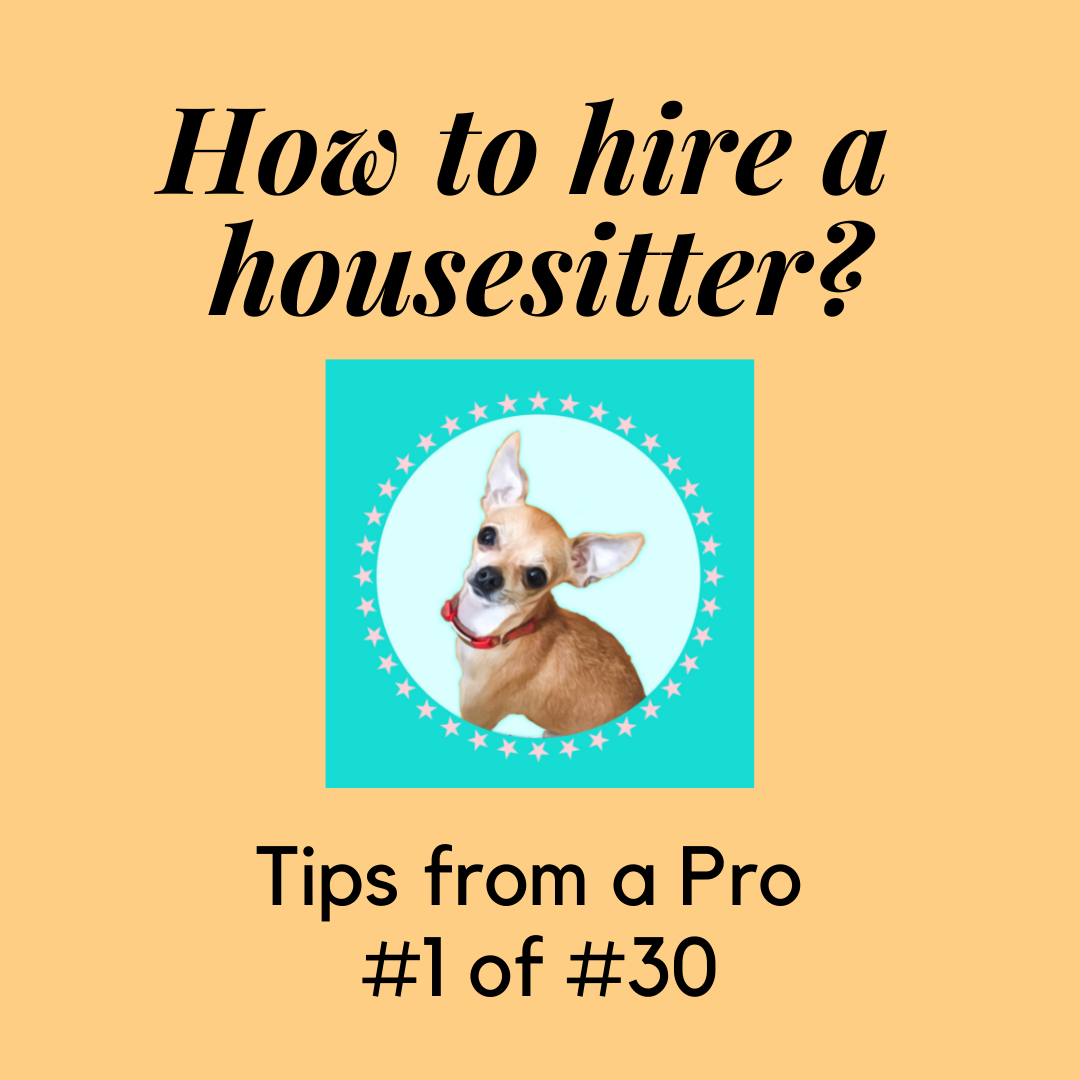 How to not choose a Petsitter Nightmare. by B. Renate Medium