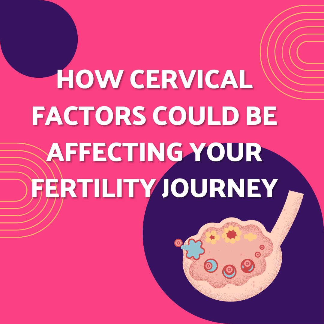 Cervical Factors and Infertility Understanding How the Cervix Affects
