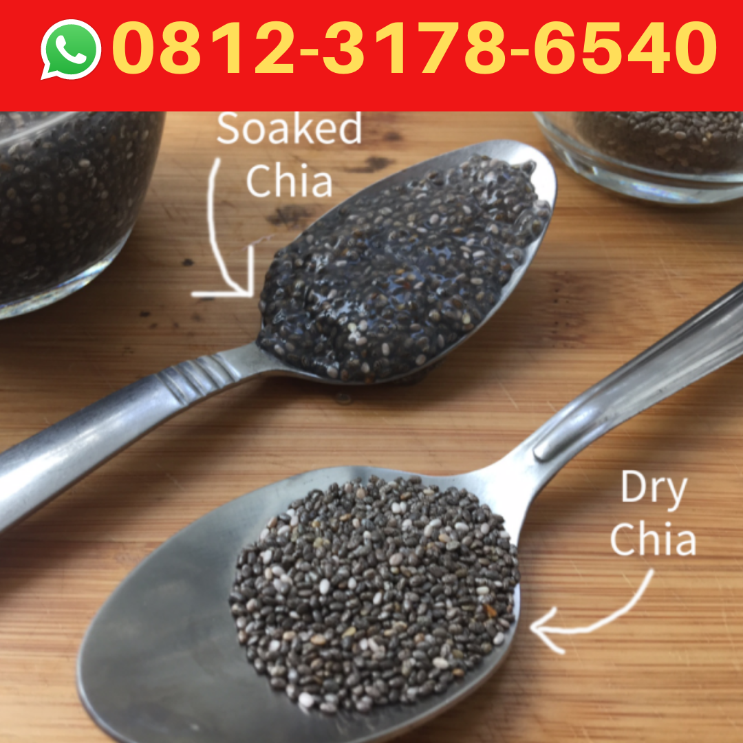 081231786540, Chia seed untuk diet Jual Chia Seed Surabaya Medium