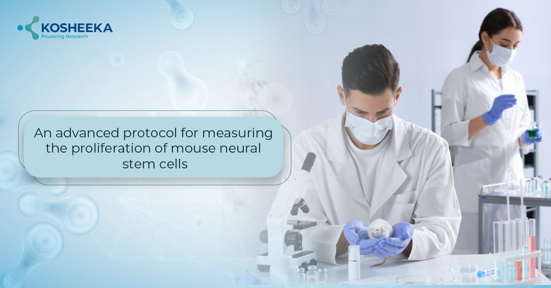 An advanced protocol for measuring the proliferation of mouse neural stem cells